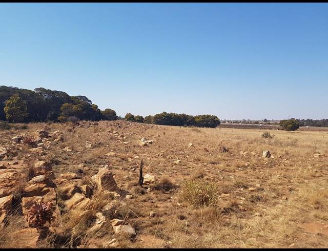 140,000M² SMALLHOLDING FOR SALE IN DONKERHOEK AH